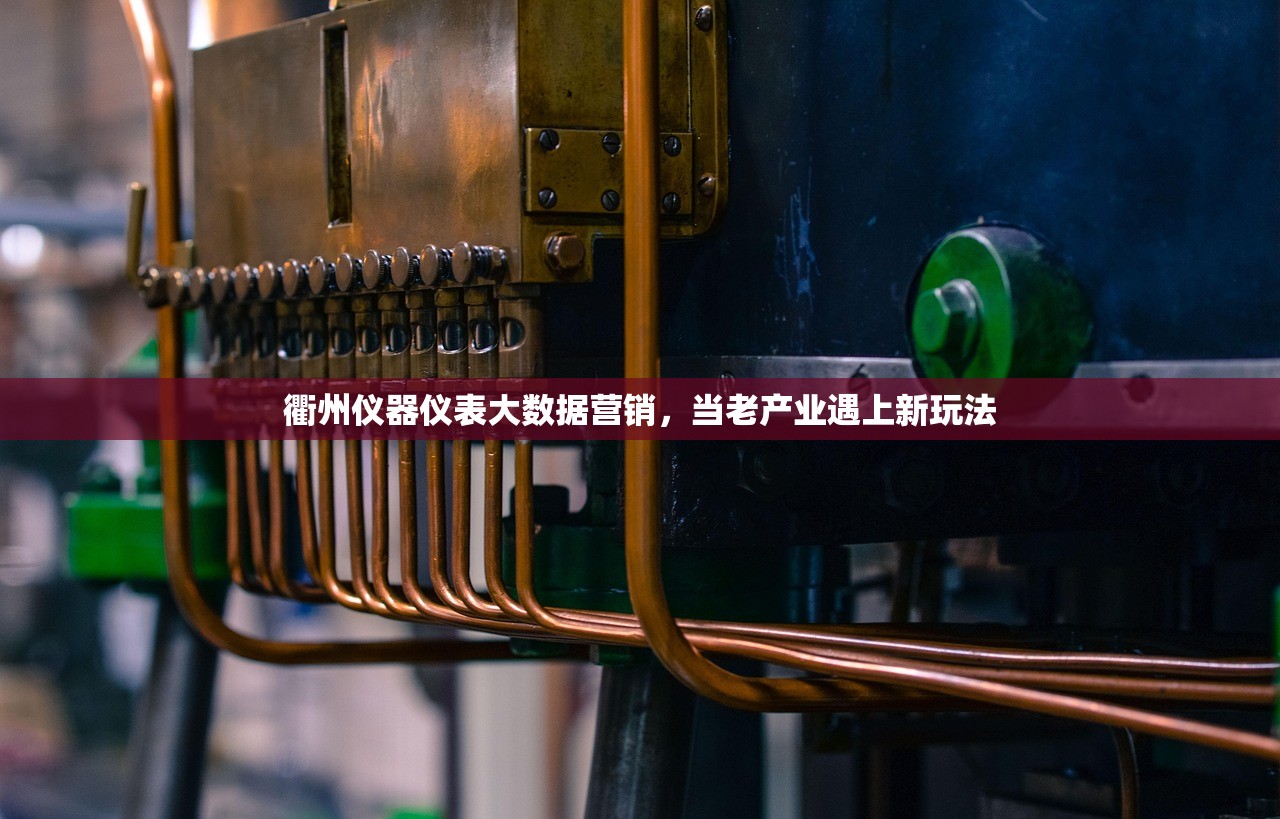 衢州仪器仪表大数据营销，当老产业遇上新玩法