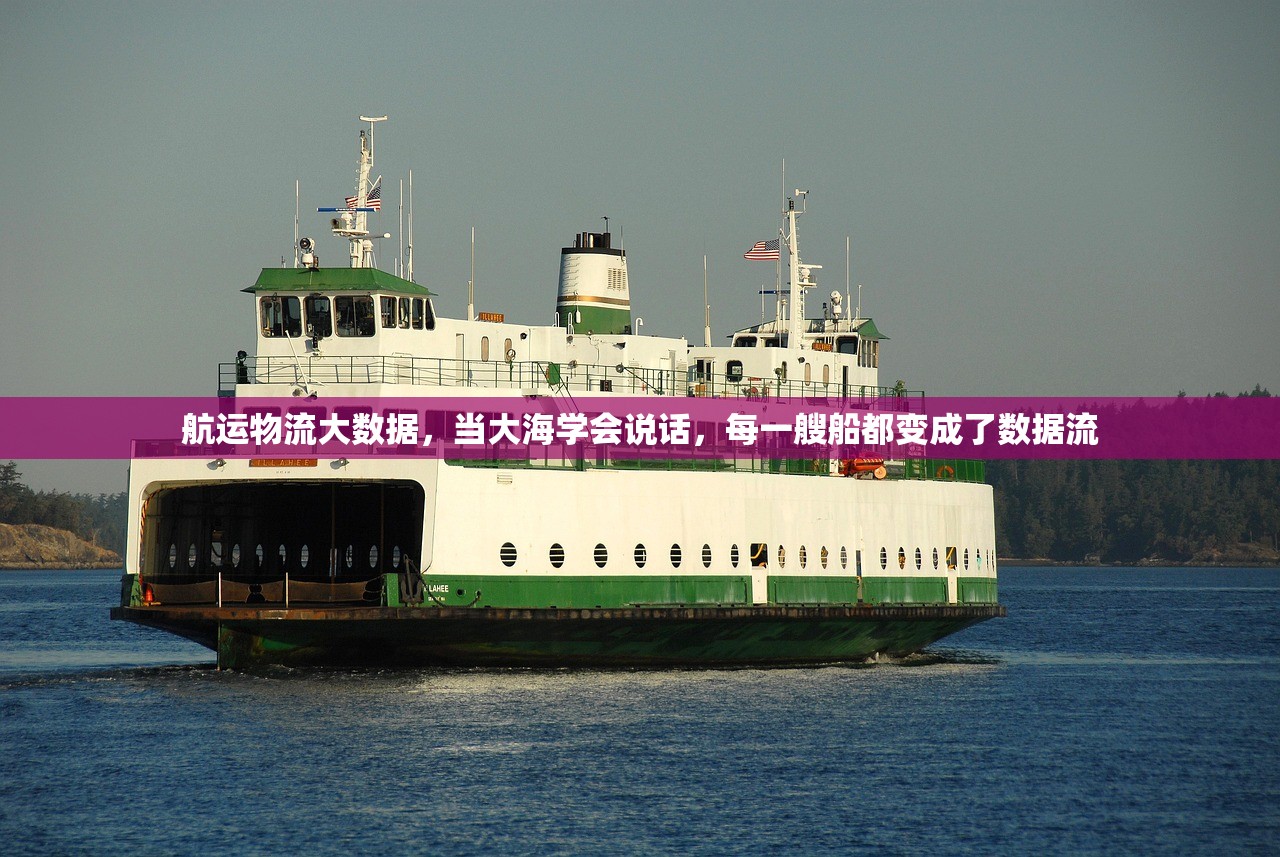 航运物流大数据，当大海学会说话，每一艘船都变成了数据流