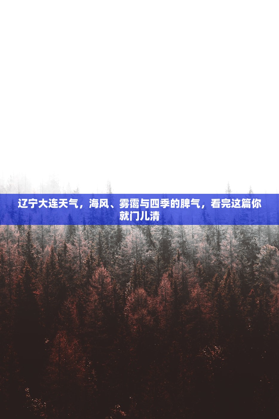 辽宁大连天气，海风、雾霭与四季的脾气，看完这篇你就门儿清