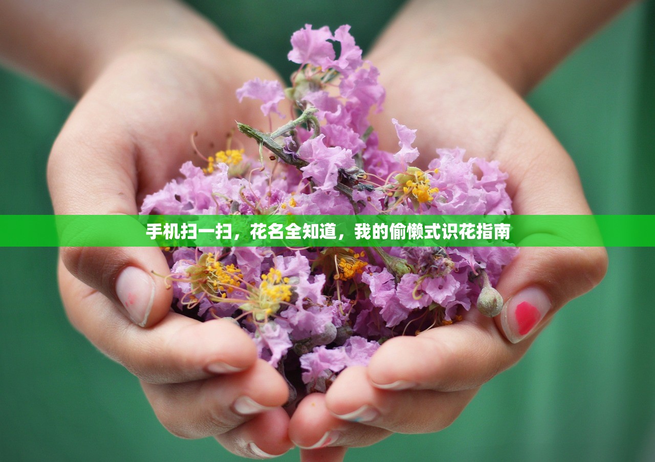 手机扫一扫，花名全知道，我的偷懒式识花指南
