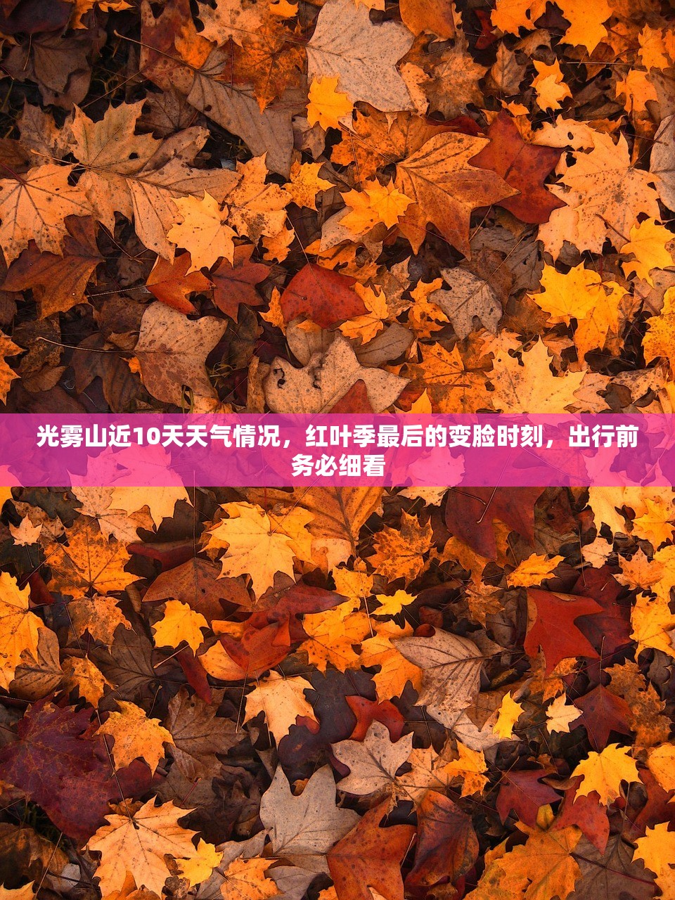 光雾山近10天天气情况，红叶季最后的变脸时刻，出行前务必细看