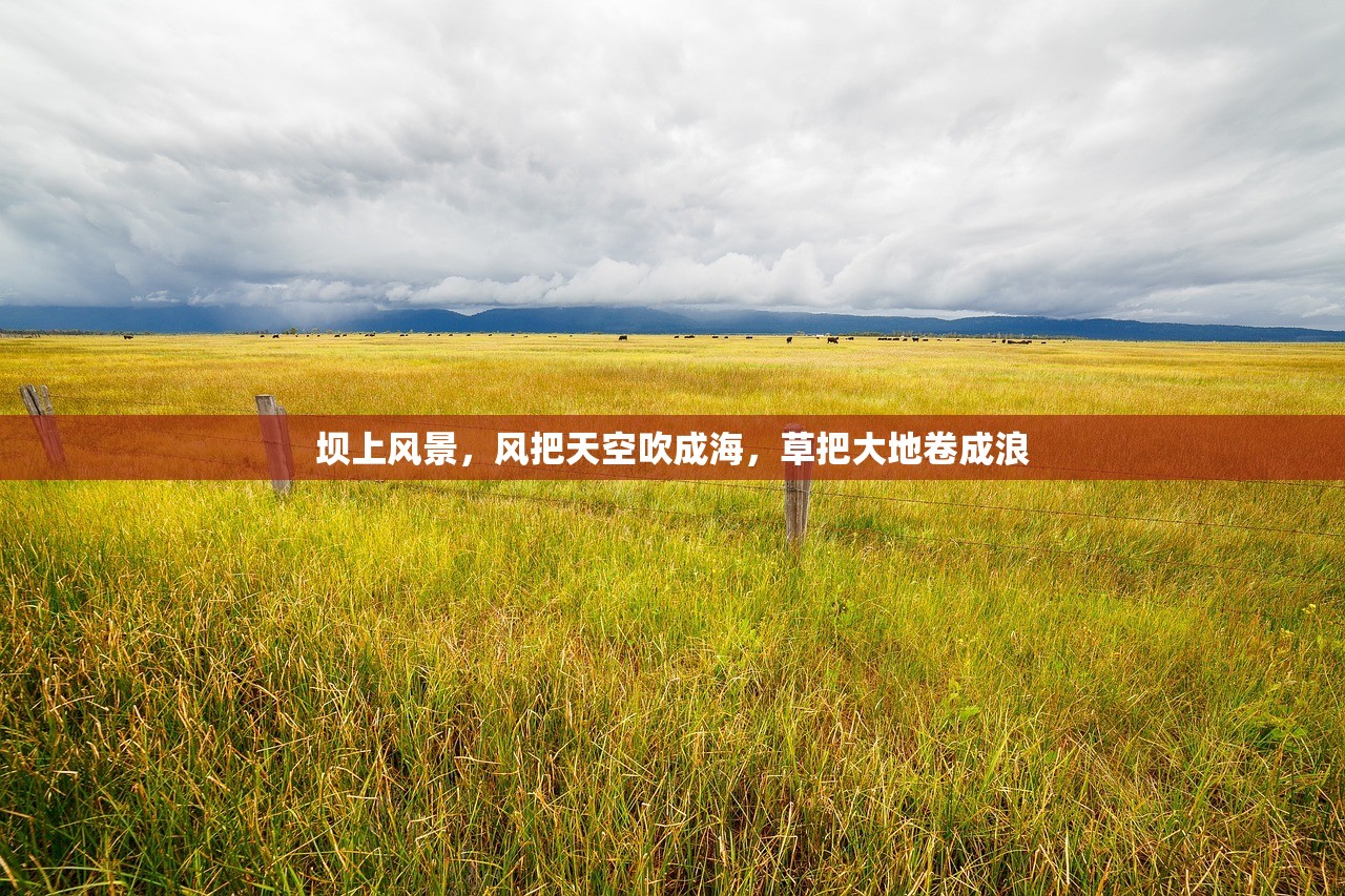坝上风景，风把天空吹成海，草把大地卷成浪