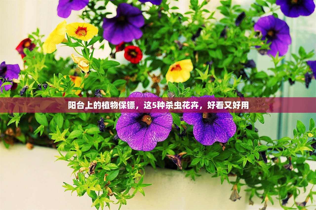 阳台上的植物保镖，这5种杀虫花卉，好看又好用
