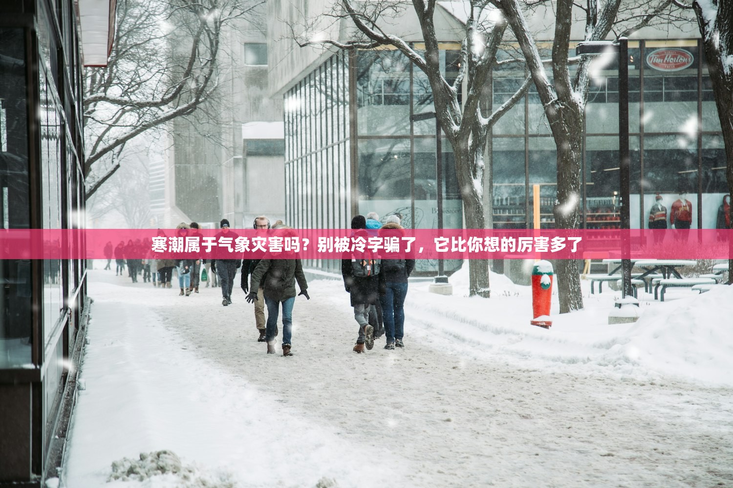寒潮属于气象灾害吗？别被冷字骗了，它比你想的厉害多了