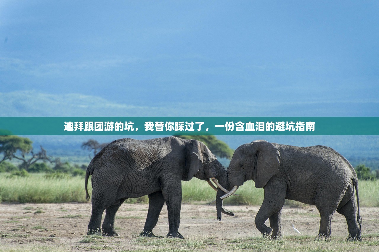 迪拜跟团游的坑，我替你踩过了，一份含血泪的避坑指南