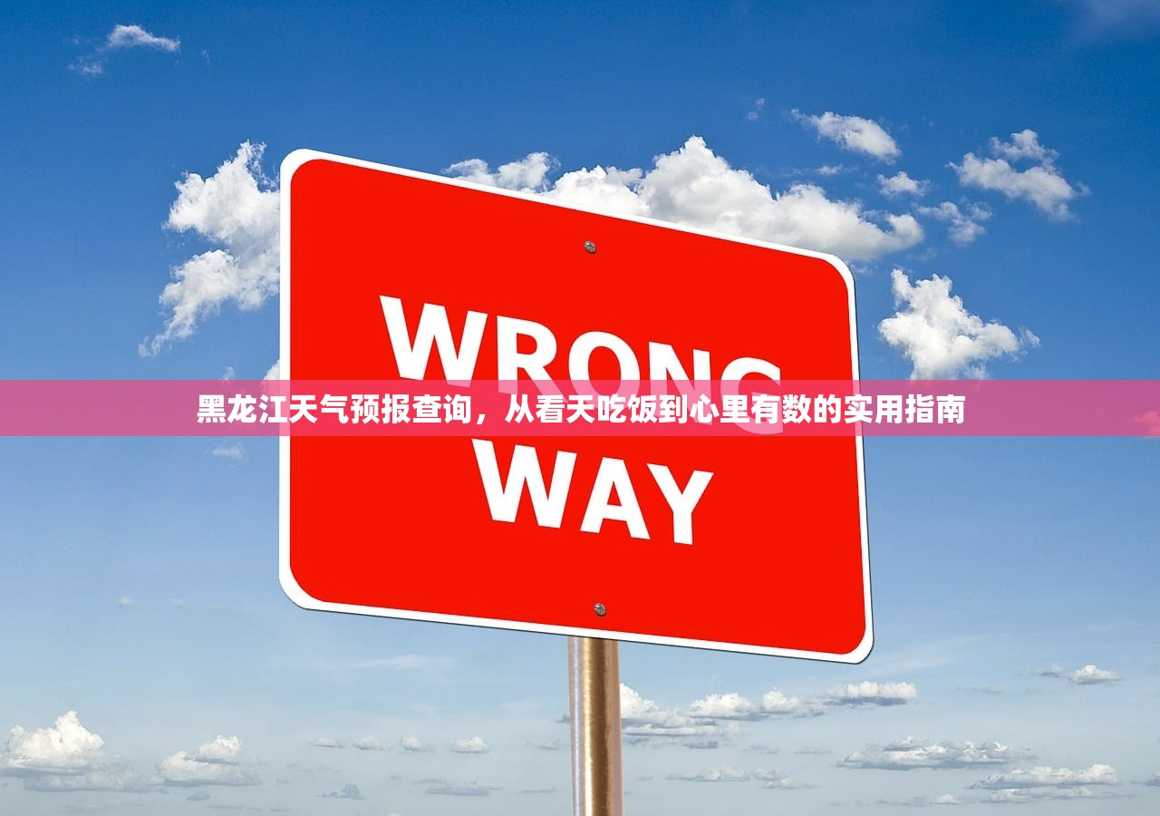 黑龙江天气预报查询，从看天吃饭到心里有数的实用指南