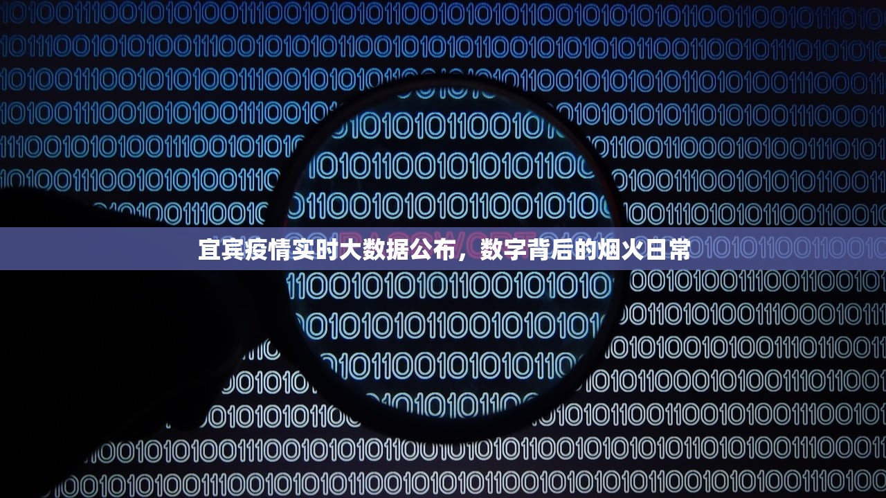 宜宾疫情实时大数据公布，数字背后的烟火日常